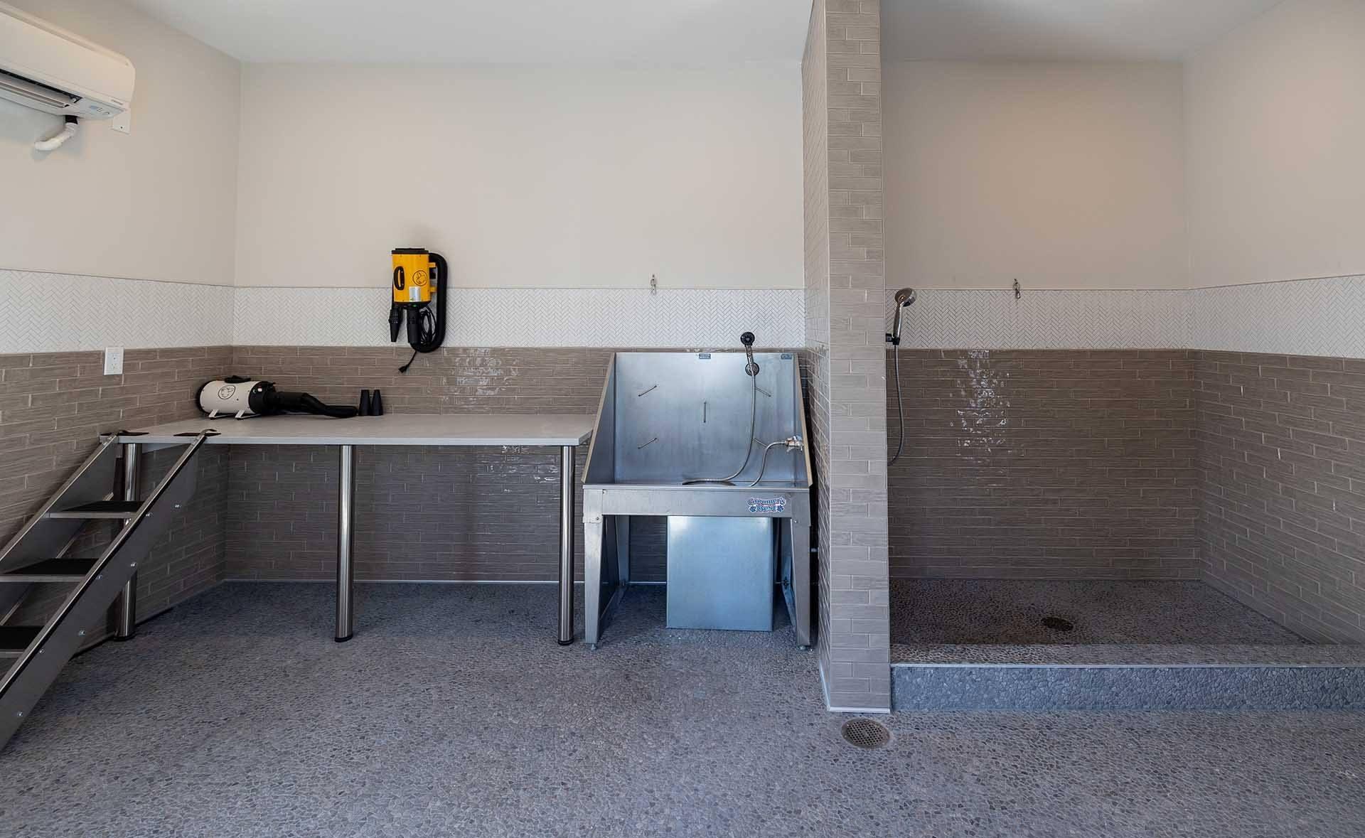 A bathroom with a shower and a sink.