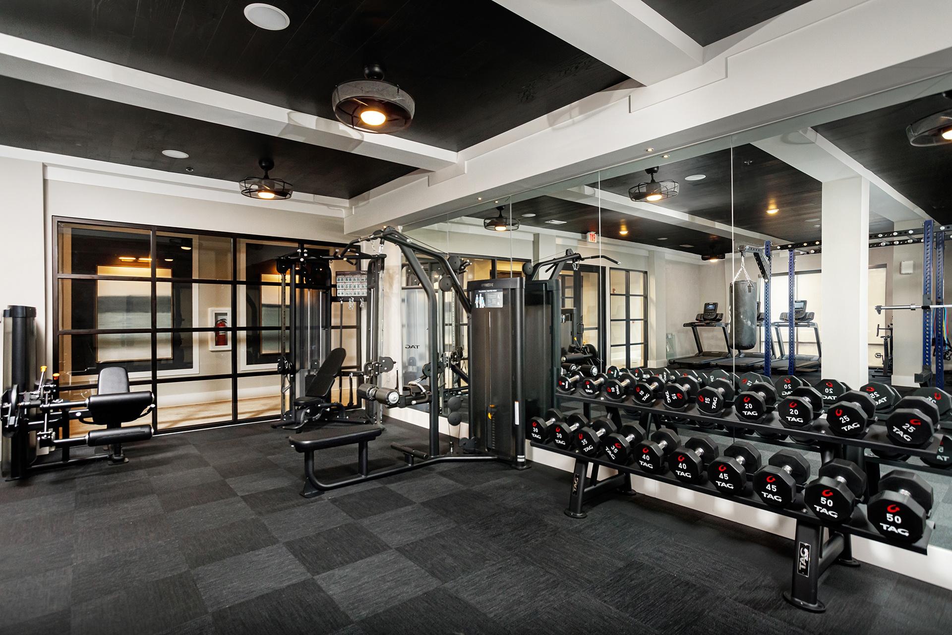 A gym with a variety of equipment including dumbbells, weight plates, and a bench press.