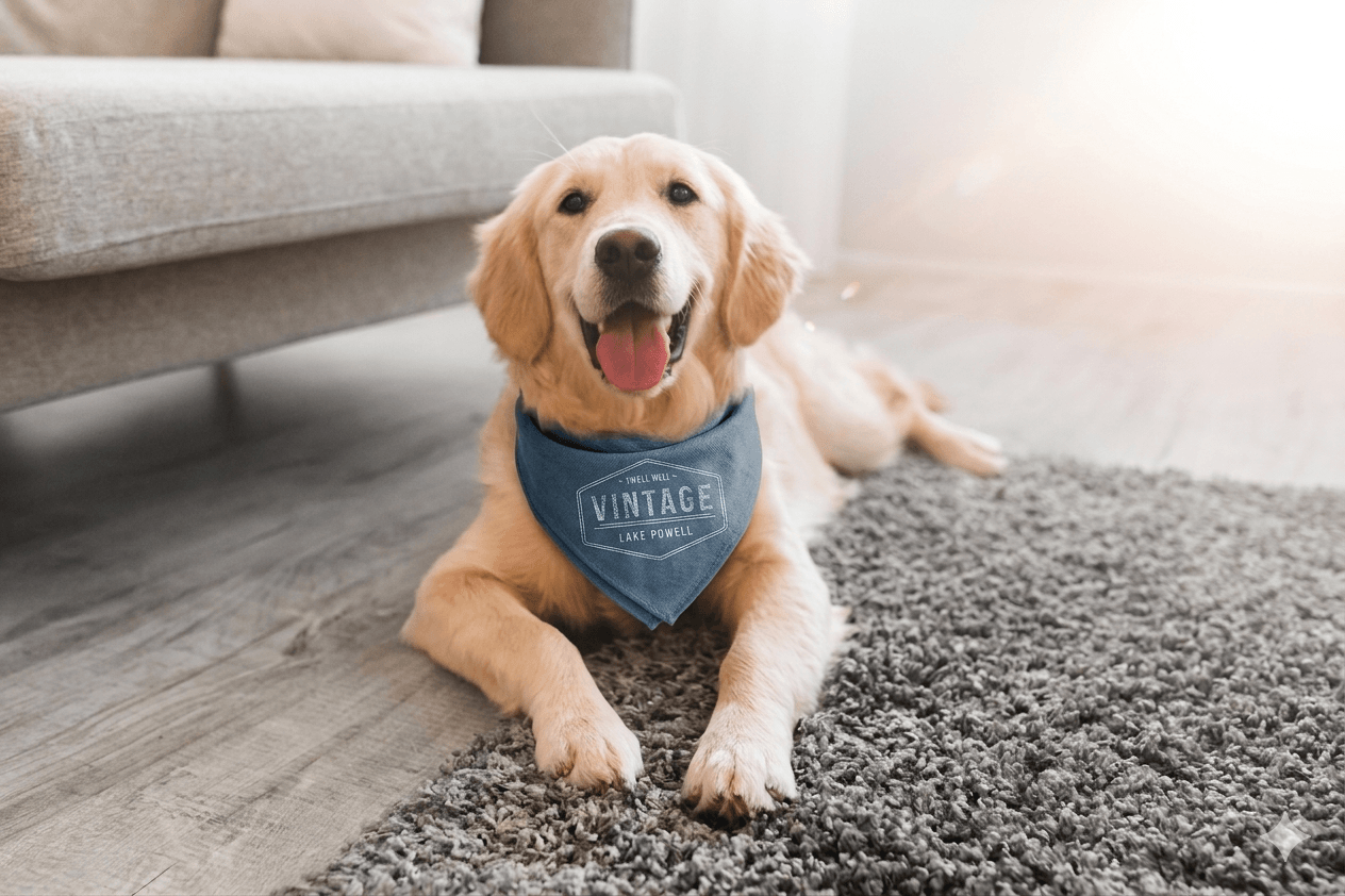 A dog wearing a blue bandana lays on a grey rug.