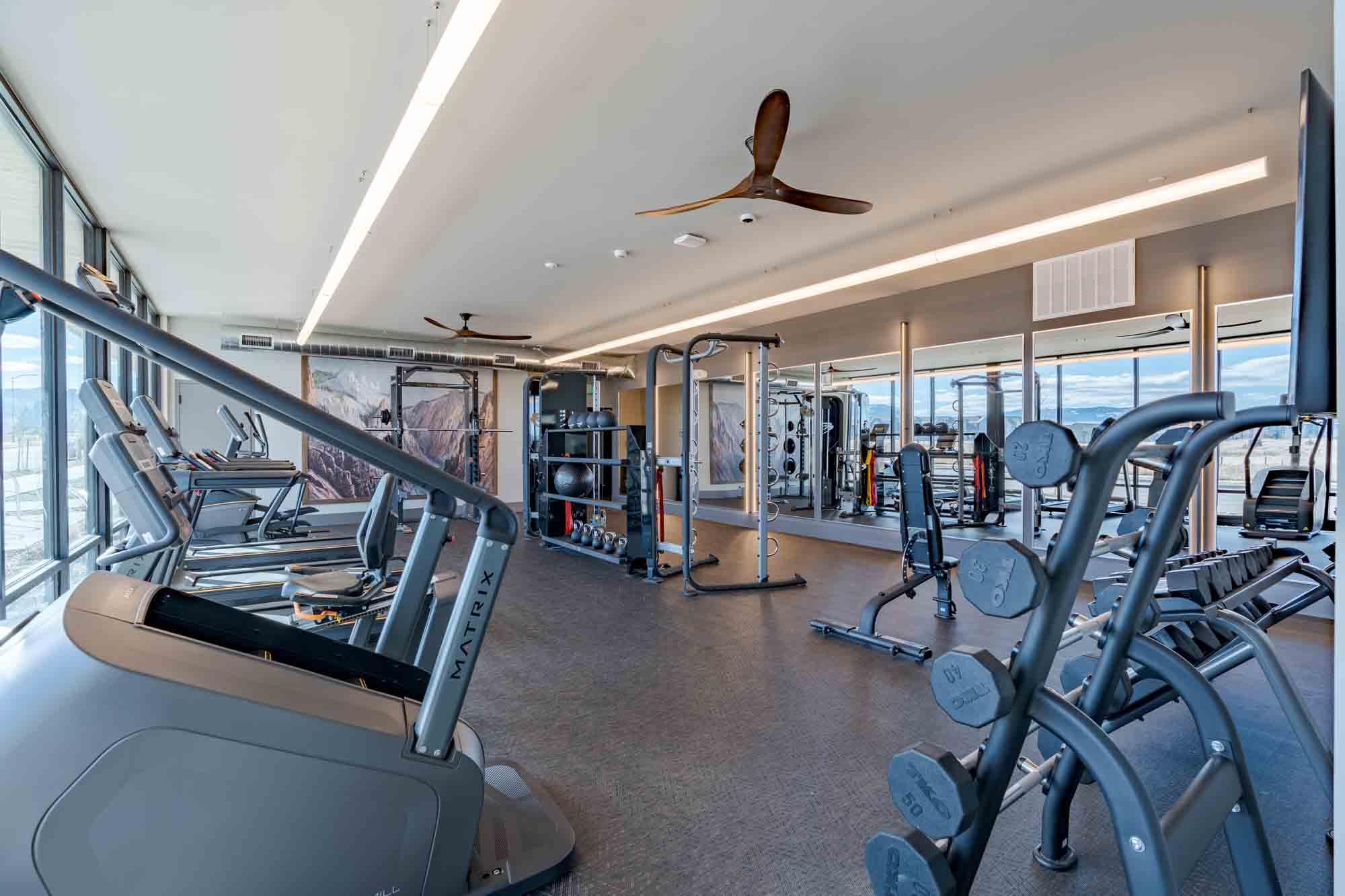 A gym with treadmills, weights, and exercise equipment.