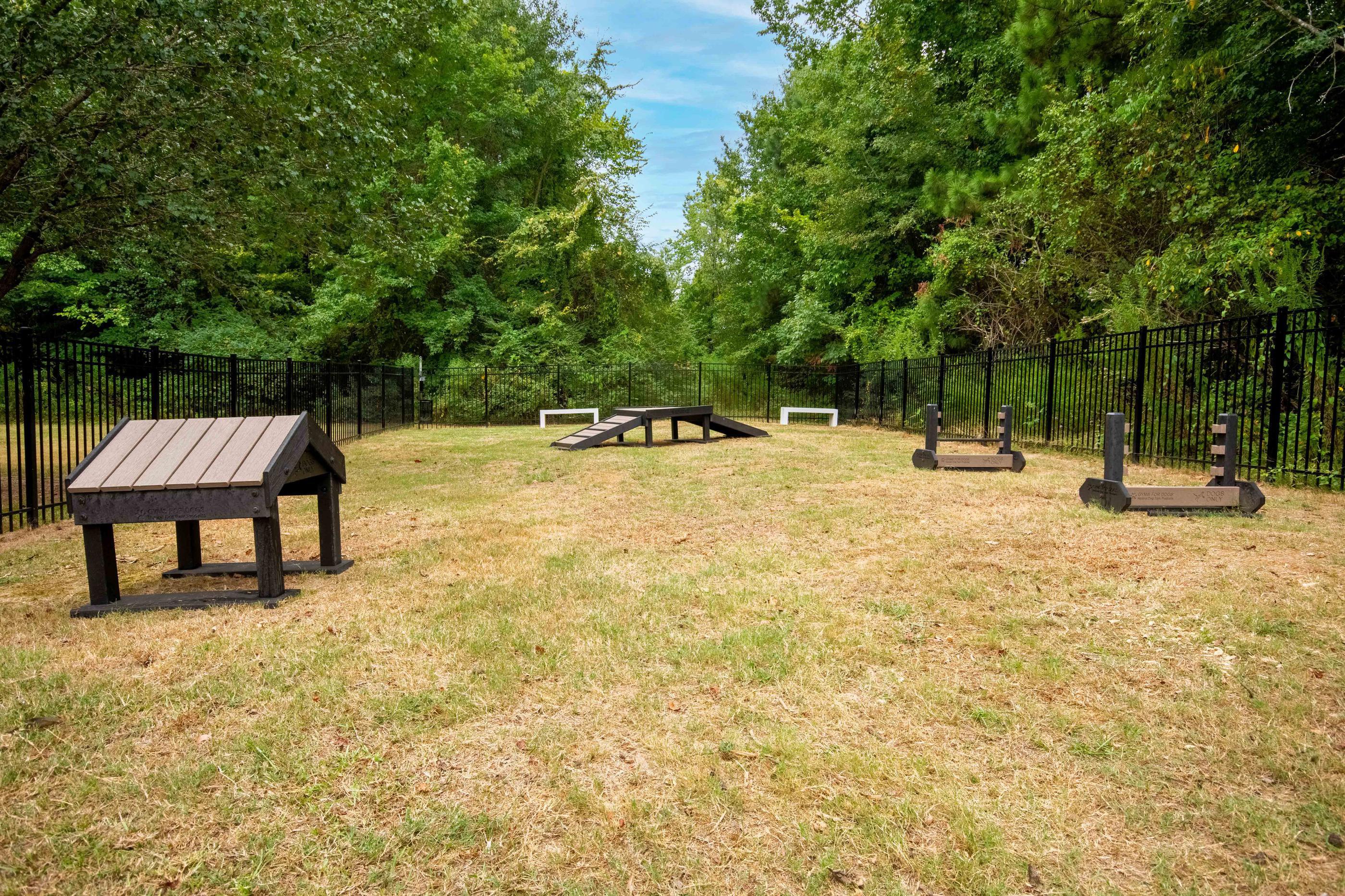 Dog park